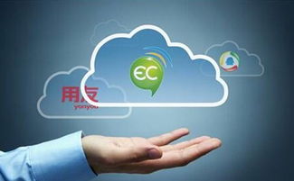 大品牌的管理軟件真的就好嗎？